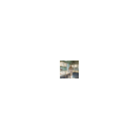 Ward 28 - Tiny House Bois 27.9m² | Tiny House Market
